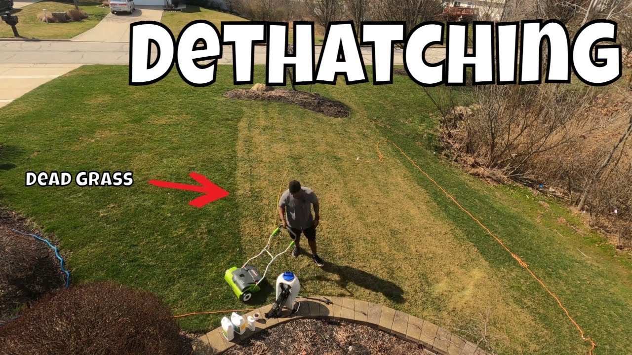 Greenworks Dethatching: Preparing Your Lawn For Spring! - YouTube