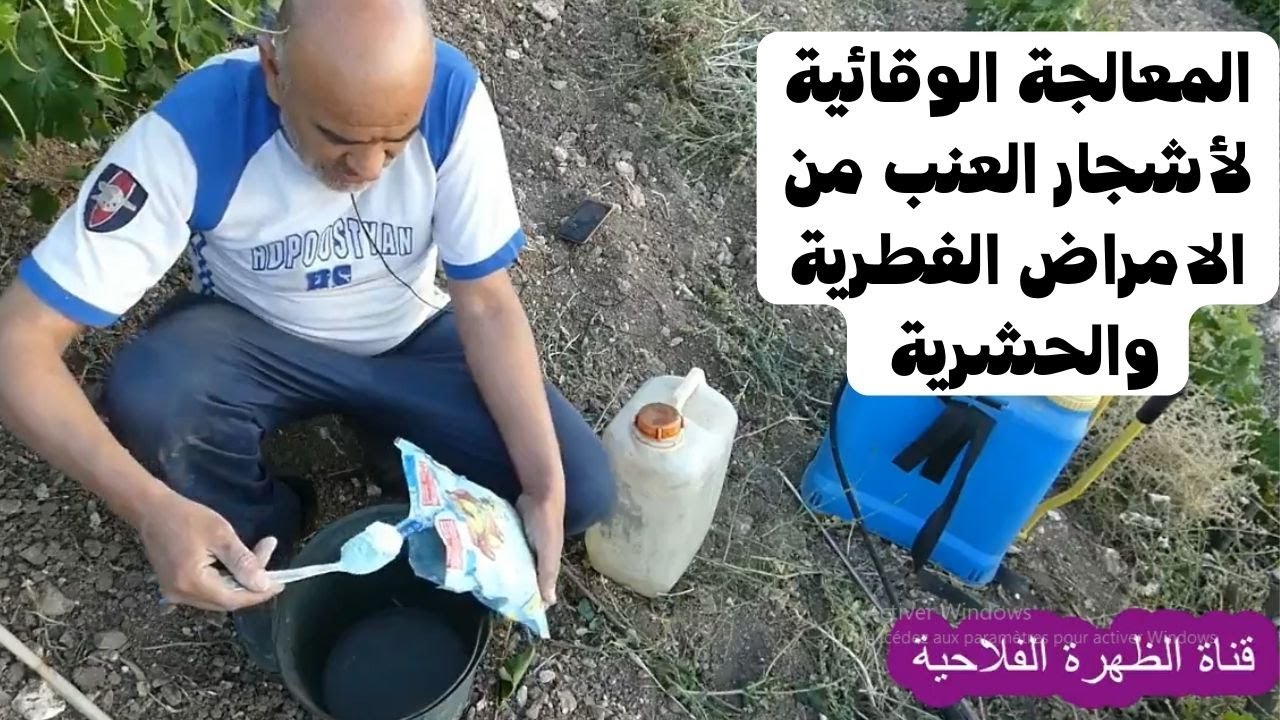 المعالجة الوقائية لأشجار العنب من الامراض الفطرية والحشرية / Preventive treatment of grapevines .