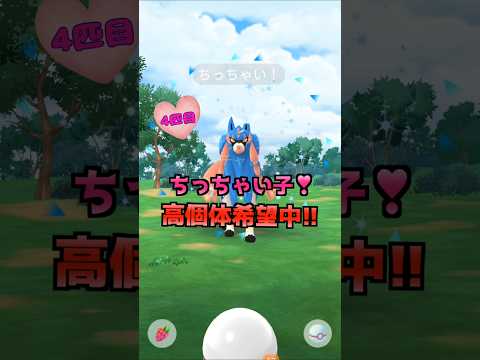 ザシアン１２戦♪高個体とxxs登場⁉【ポケモンGO】