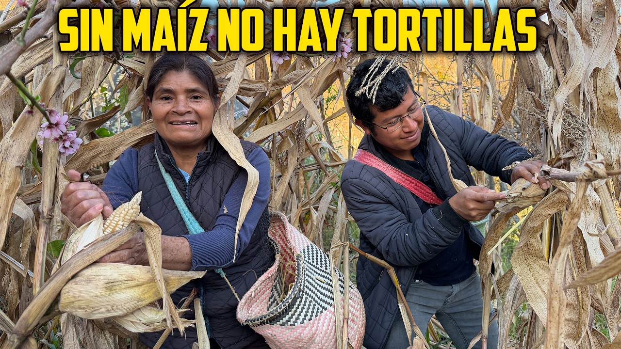 No les gusta hacer este trabajo, pero al final me salí con la mía y terminaron haciendo todo 😂