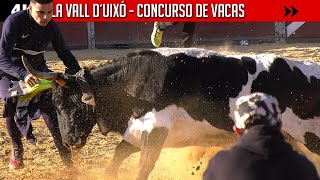 4K ▪ LA VALL D´UIXÓ ▪ Feria de Invierno 2024 ▶ CONCURSO de VACAS con 12 GANADERÍAS by TOROS EN ESPAÑA TV 11,685 views 2 months ago 26 minutes