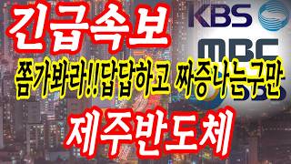 제주반도체 걱정하지말고요