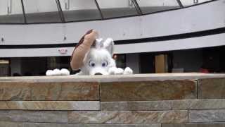 Midwest Furfest 2013 Music Video - 