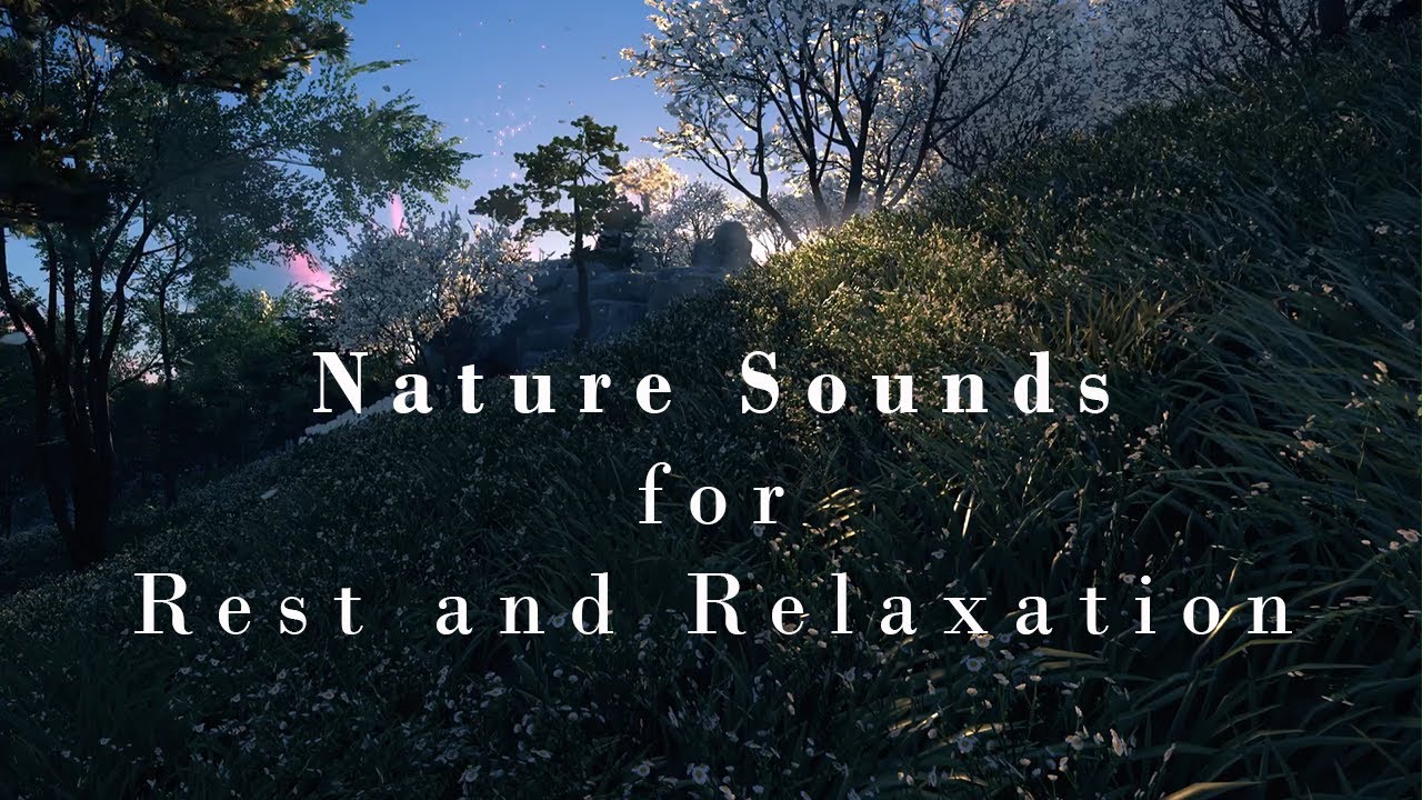 Spring Sound 🌿 🌷Peaceful Spring Ambiance |🐦 🌞Relaxing Birdsong & Spring Sounds ...