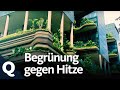 Wie der Klimawandel Städte aufheizt und wie Urban Gardening das ändern kann | Quarks