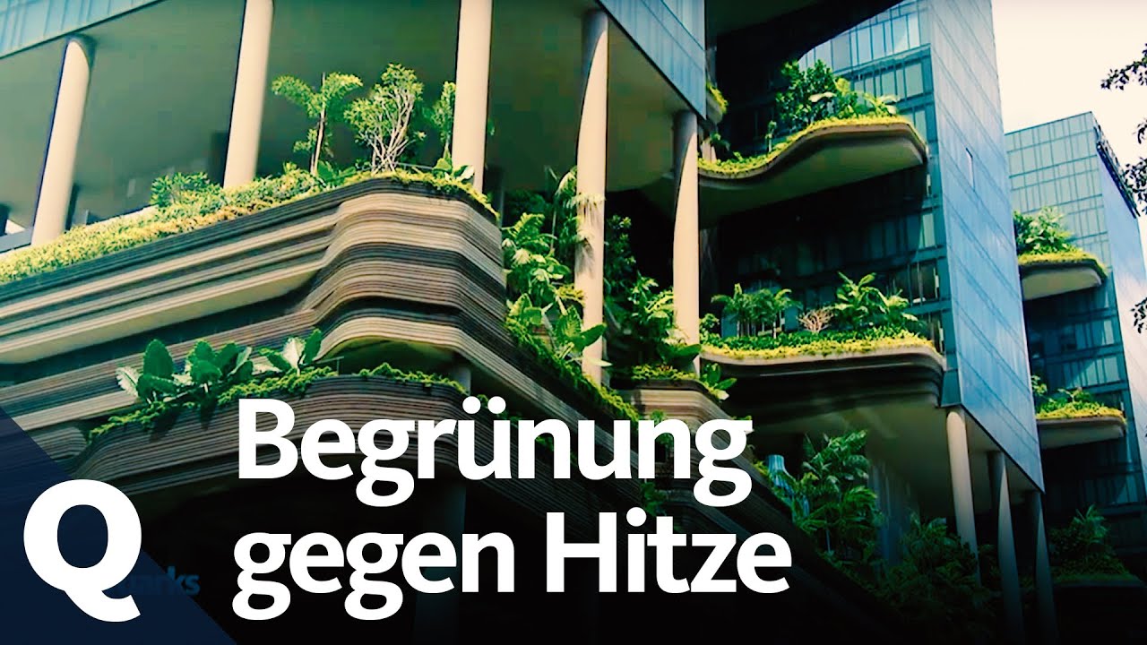 Dachbegrünung -  Gartentipps von Volker Kugel - www.grünzeug.tv