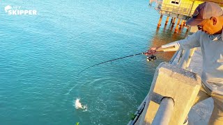 Catch the BIGGEST fish at the Pier! 3 SIMPLE METHODS for Pier Fishing!