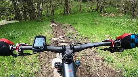 Aberfeldy MTB trails - Blue View