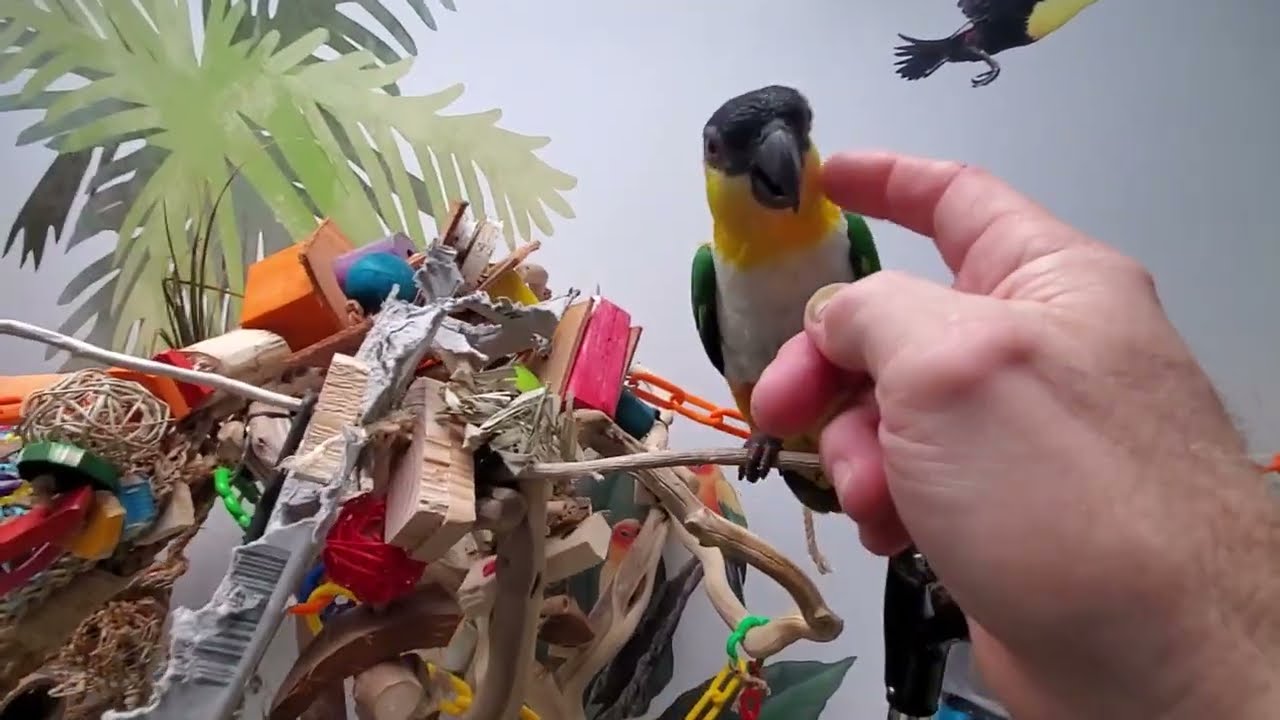 It's time for today's 6th and last recess 💕💕