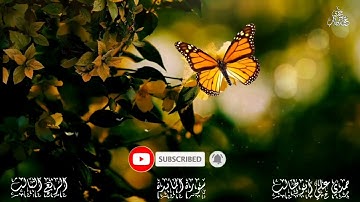 قرآن كريم سورة  المائدة (الربع الثالث) حمدي علي أبوطالب Holy Quran Surah Al Ma'idah