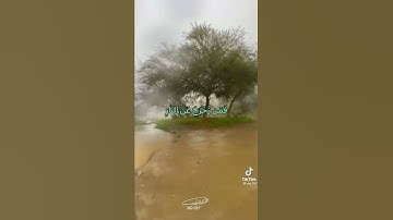 قراء الشيخ جابر علي الله يرحمه سوره ال عمران(185)💜