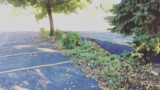 Heelflip A Big Grass Gap!