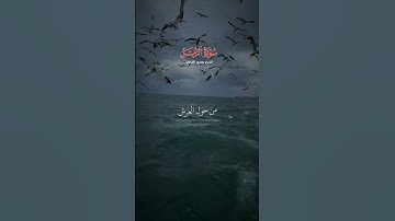 #القران_الكريم #القران_الكريم_راحه_نفسية #حالات_واتس #تلاوة_خاشعة #المصحف #quran_alkarim #راحة_نفسية