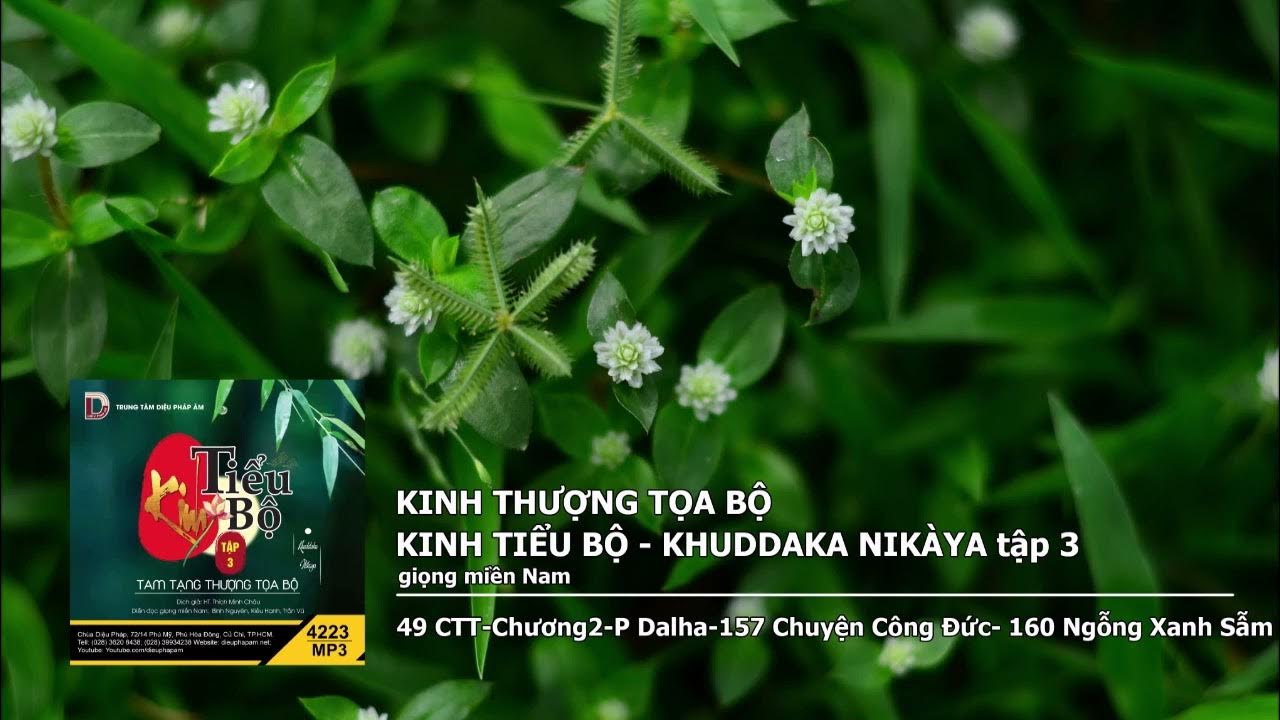 Tập 3 – 49 CTT–Chương2–P Dalha–157 Chuyện Công Đức– 160 Ngỗng Xanh Sẫm giọng miền Nam 