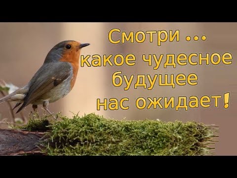 Смотри, какое чудесное будущее нас ожидает! Присоединяйся.