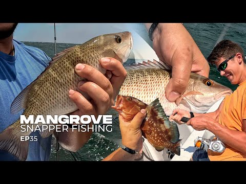 Catching Mangrove Snapper Florida West Coast Fishing Rigging & Riding out the Storms | EP35