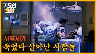 죽음 이후의 삶, 사후세계는 존재할까? | 기묘한 그알