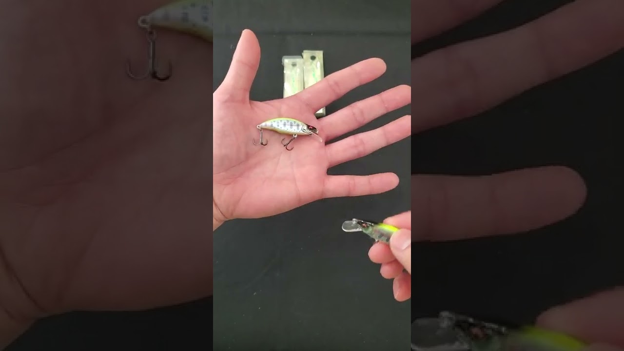 Leurre Megabass GH 46 Humpback FS - Coule, 46mm, 4g, Cliquetis - Takumi Kawamasu