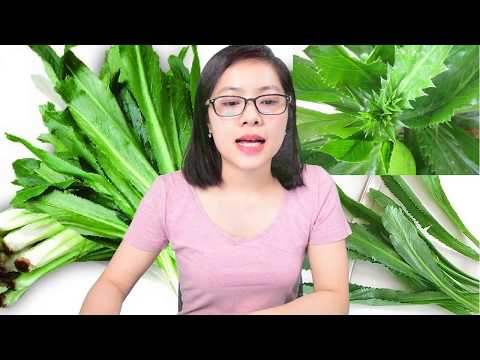 Video Công dụng thần kì từ Rau Mùi Tàu ít người biêt! - youtube