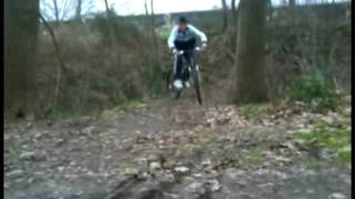 Moises en el patatal