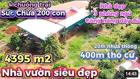 💥 Giảm Sốc 200 Triệu! Nhà Vườn Mặt Tiền Đường Nhựa – 400m² Thổ Cư + Chuồng Trại Khủng 210 Con