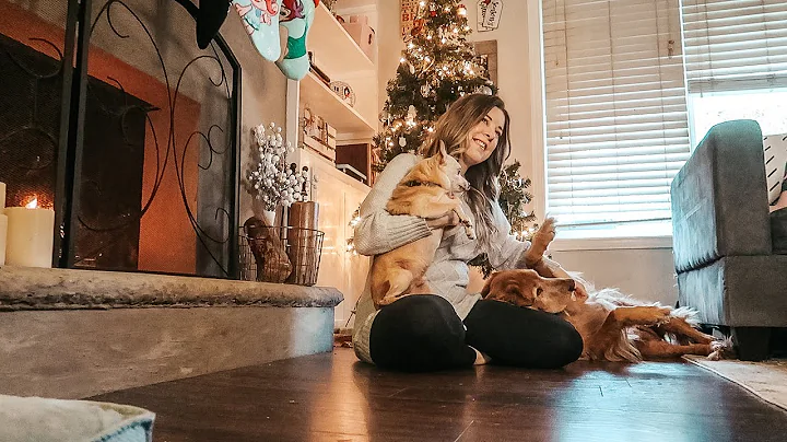 Vlogmas Day 19