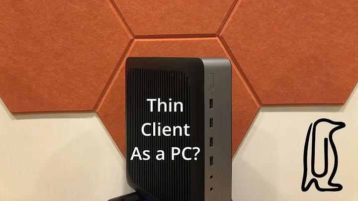 Can you use a THIN CLIENT as a standalone PC?
