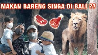 SERU BANGET BISA MAKAN BARENG SINGA DI BALI!!