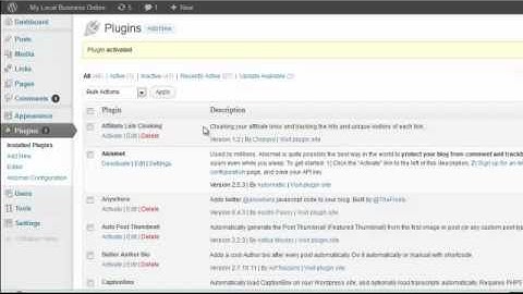 Updating WordPress version 3.3