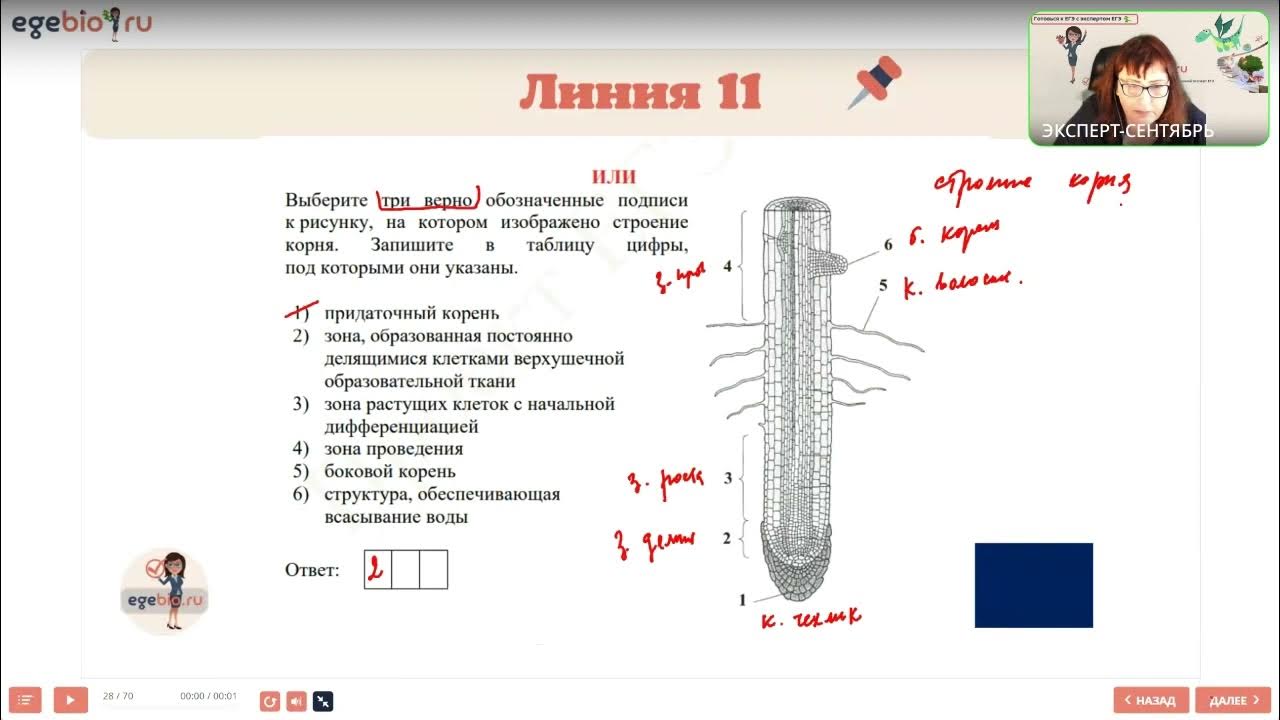 Реальный егэ биология 2023