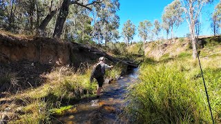 Troutfest 2024, Insane Trout Fishing