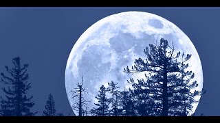 Will the supermoon on Nov. 14 trigger a superquake? HD video Image of Will the supermoon on Nov. 14 trigger a superquake? HD video