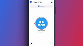 How to Use Push to Talk in Zinc screenshot 5