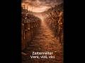 Veni Vidi Vici 6 #ndh #mittelalter #wikinger #gallier #germanen