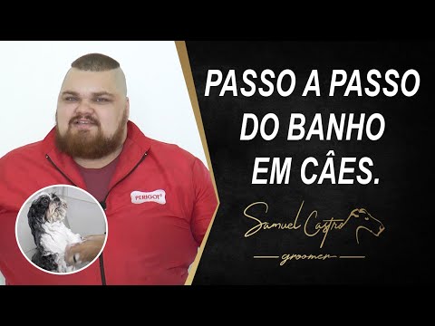 Vídeo: Como encontrar o Groomer perfeito do cão