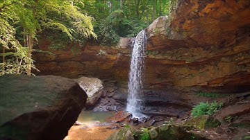 سورة الفلق بصوت الشيخ عبدالباسط عبدالصمد رحمه الله بدون اعلانات