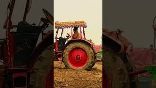 How To Plant Potatoes Planting Potatoes Belarus 95 How To Grow Potatoes