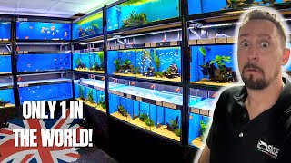 This INSANE Aquarium Shop in the UK has the RAREST Fish in the WORLD!