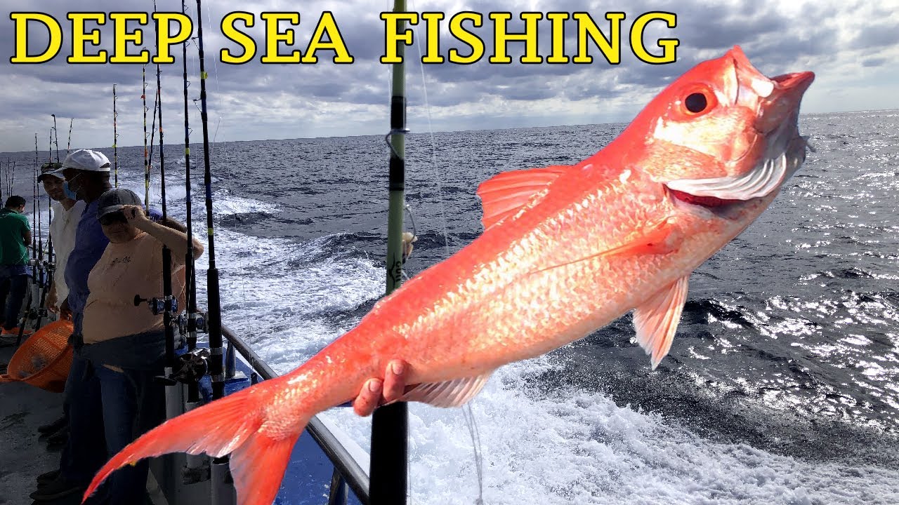 Myrtle Beach Deep Sea Fishing, Deep Sea Fishing In South Carolina USA