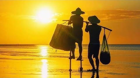 Ngư dân dùng gan heo để bắt cá biển #video #ngưdân #fishing #danhcabien #batca