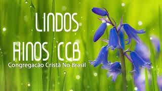 HINOS CCB 2022 - CONGREGAÇÃO CRISTÃ NO BRASIL - CCB HINOS LOUVOR E RELAXE