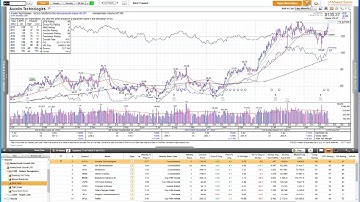 How to set up alerts on MarkerSmith