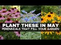 Plant These in MAY! 15 Self-Seeding Perennials That Fill Your Garden Forever
