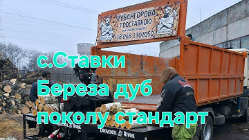 Береза дуб поколу стандарт с.Ставки