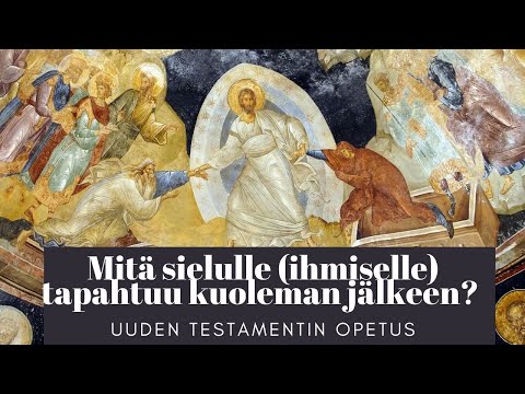 Video: Mitä seuraavista maista pidetään suurena BEM-markkinana)?