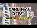 Oare n-ai știut c-aici e Domnul | tutorial acordeon (acorduri în descriere)