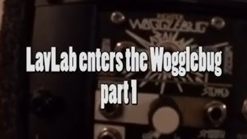 LavLab enters the Wogglebug part 1