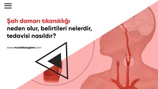 Şah Damarı Tıkanıklığı - Prof Dr Mustafa Sağlam