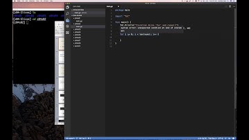 Stop Looping Wrong in Go! The ONLY Way to Iterate Slices & Arrays (Ep. 4.1)