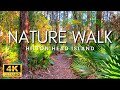 4k peaceful nature garden walking tour on hilton head  ambient bird sounds  relaxing music